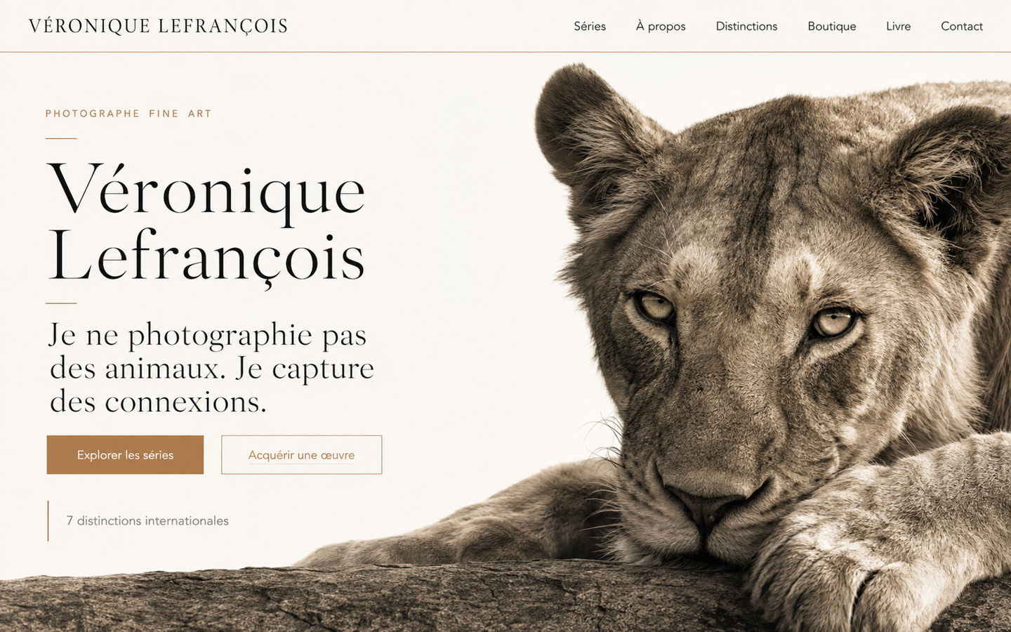 Lionne photographiée par Véronique Lefrançois